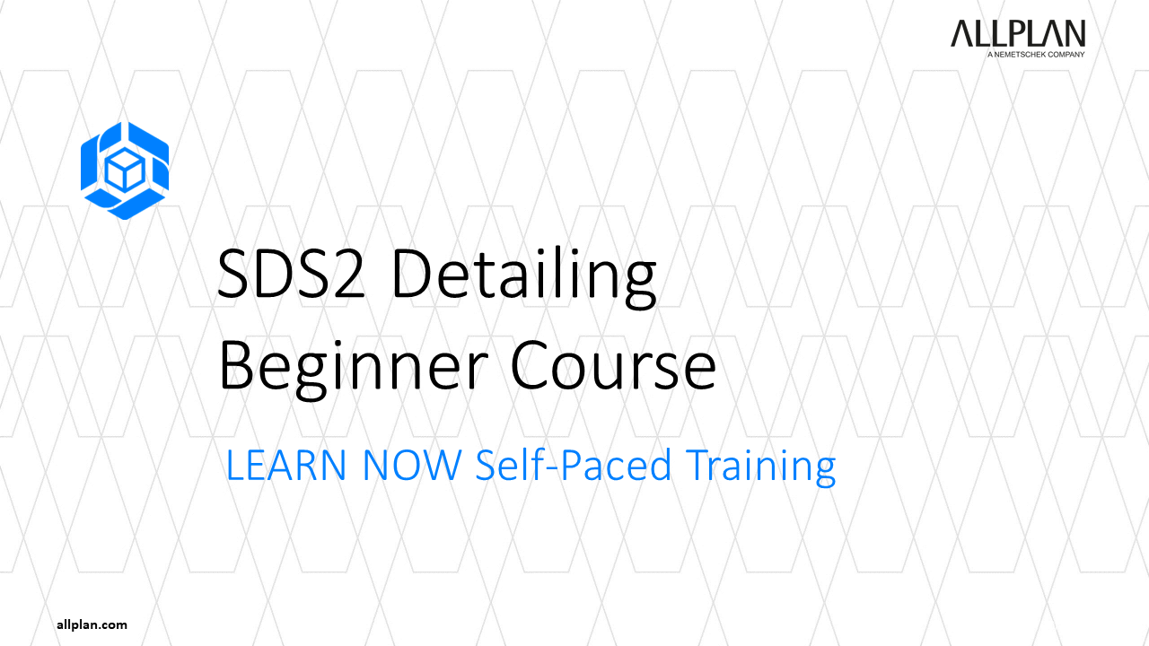 SDS2 Detailing Beginner Course